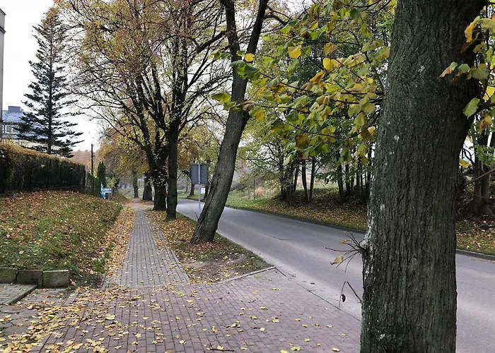 Perla Kartuz Z Sauna